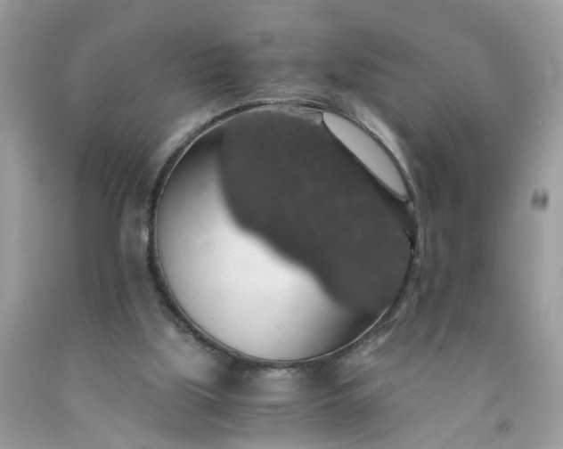 X0000091680059200709061113