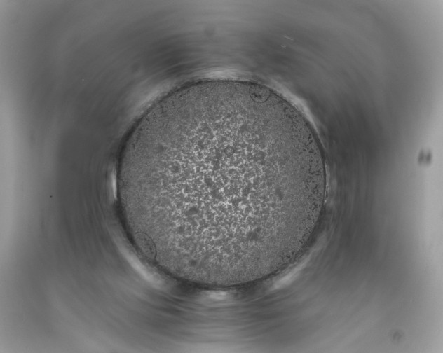 X0000091680061200709061113