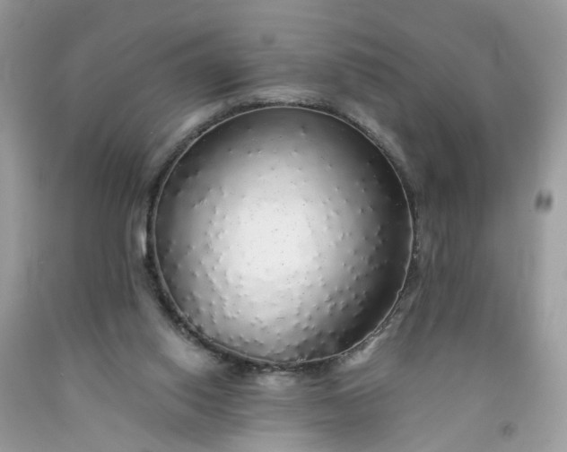 X0000091680062200709061113