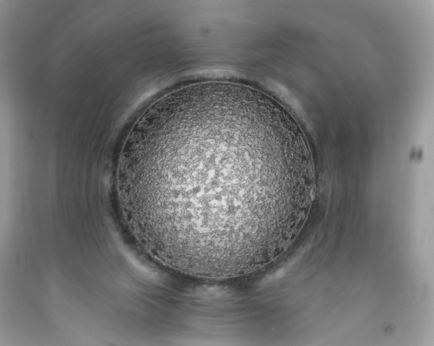 X0000091680063200709061113