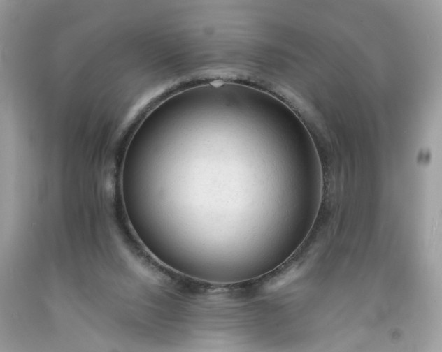 X0000091680064200709061113