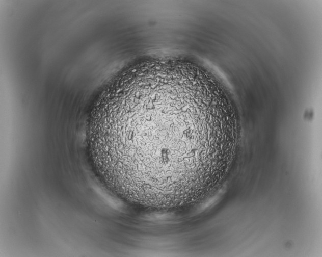 X0000091680065200709061113