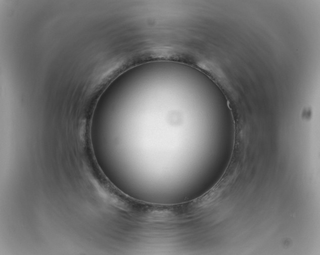 X0000091680066200709061113