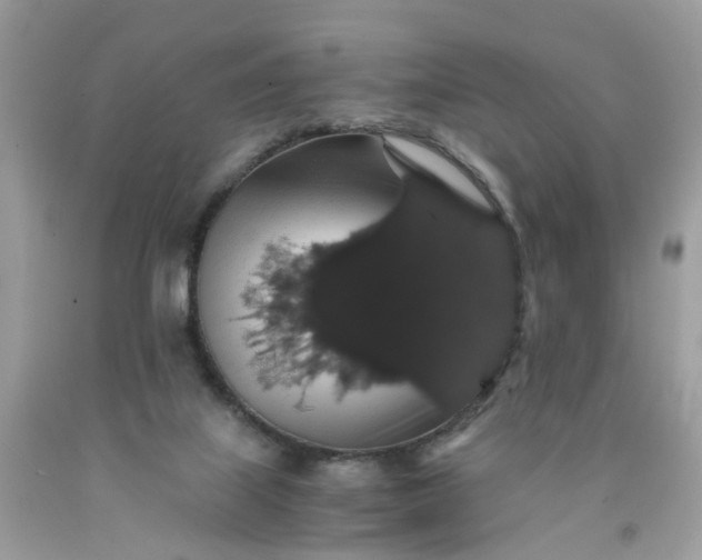 X0000091680067200709061113