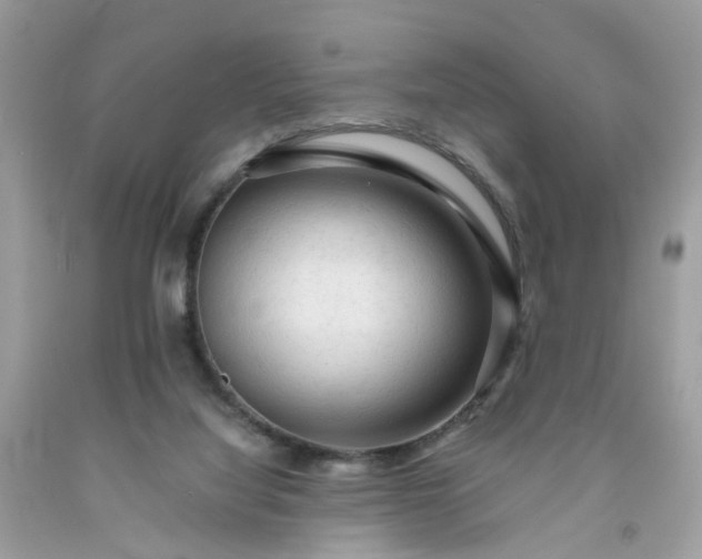 X0000091680068200709061113