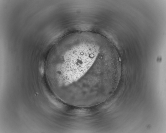 X0000091680069200709061113
