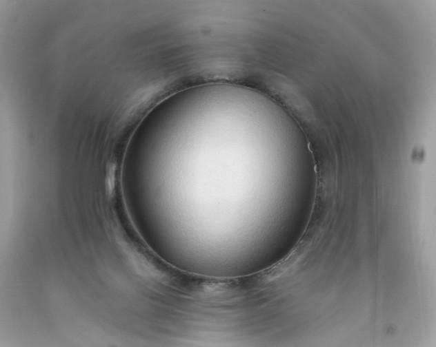 X0000091680070200709061113