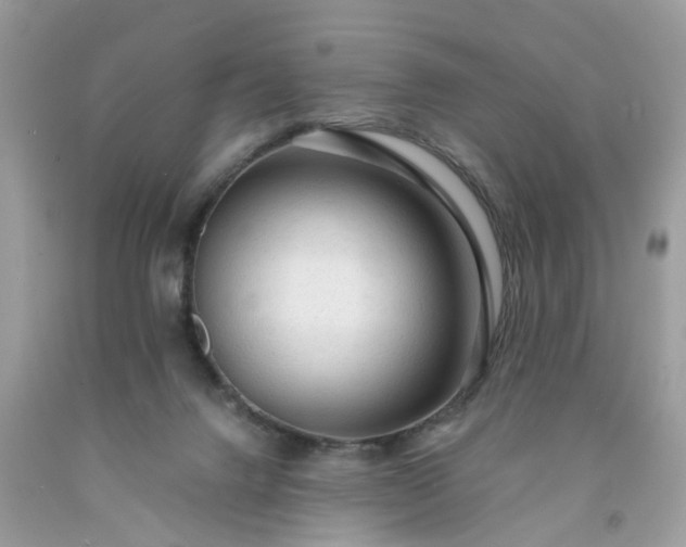 X0000091680072200709061113