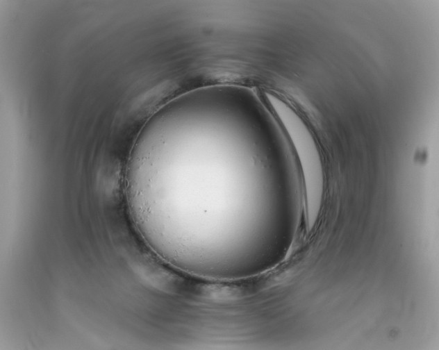X0000091680073200709061113
