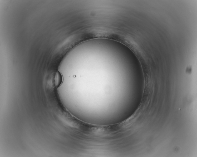 X0000091680074200709061113