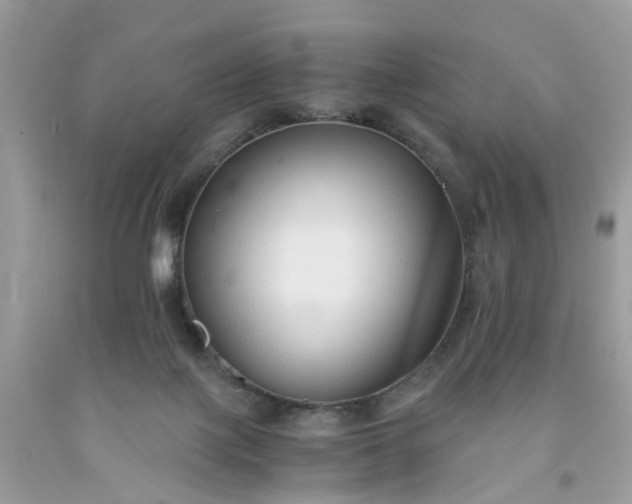 X0000091680075200709061113