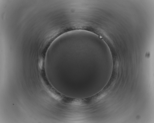 X0000091680076200709061113