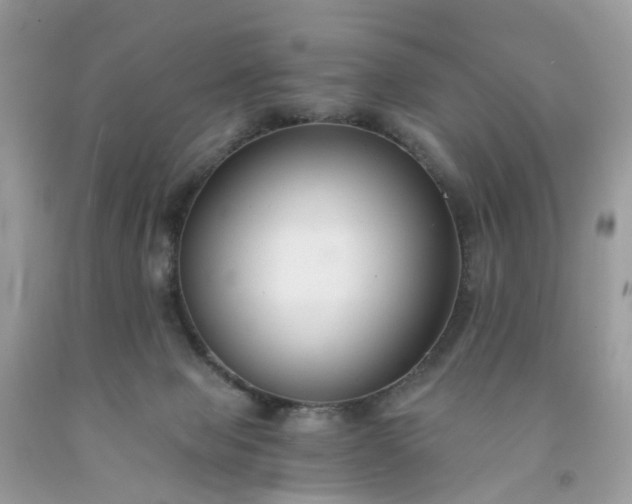 X0000091680077200709061113