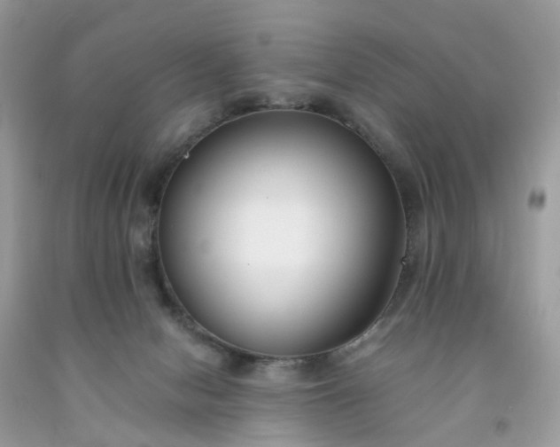 X0000091680078200709061113
