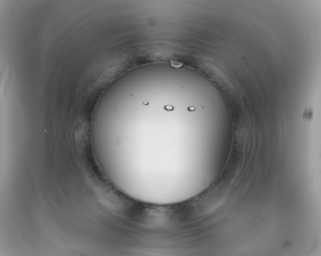 X0000091680079200709061113