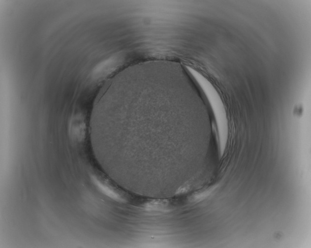 X0000091680080200709061113