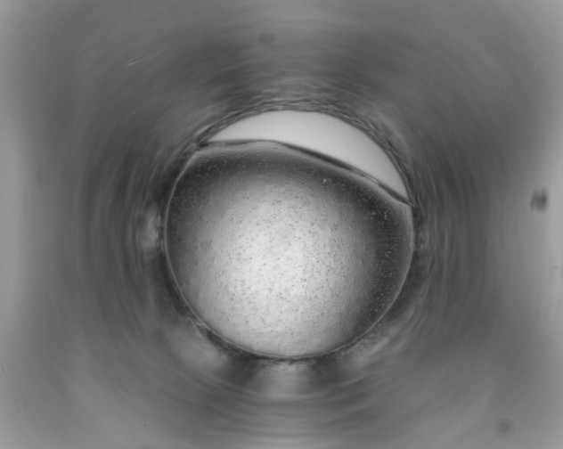X0000091680081200709061113