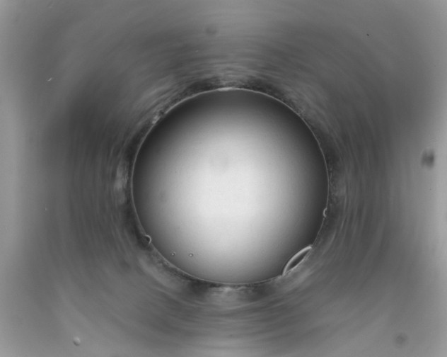 X0000091680082200709061113