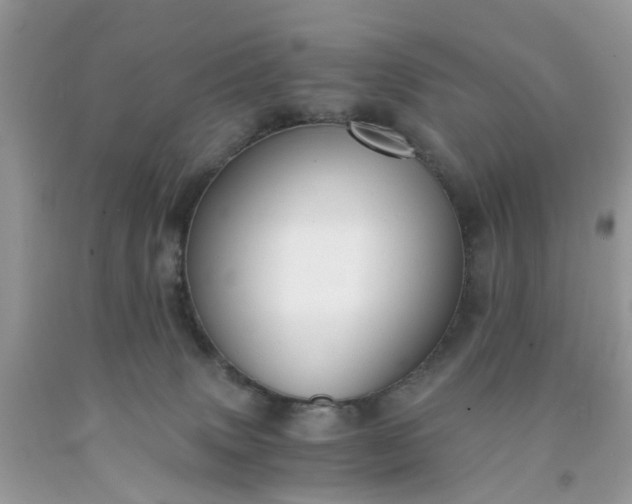 X0000091680083200709061113