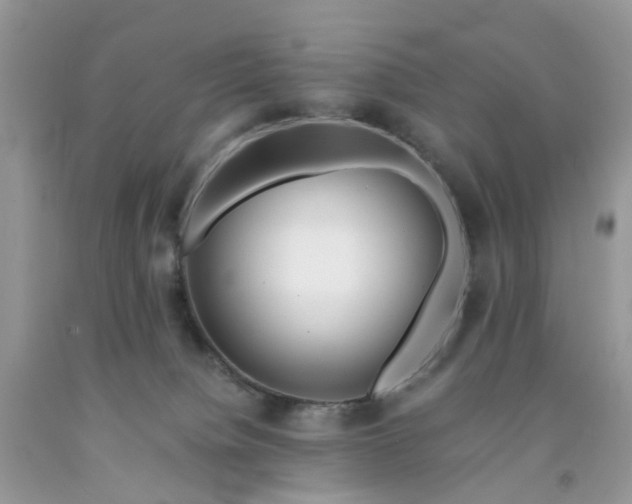X0000091680084200709061113