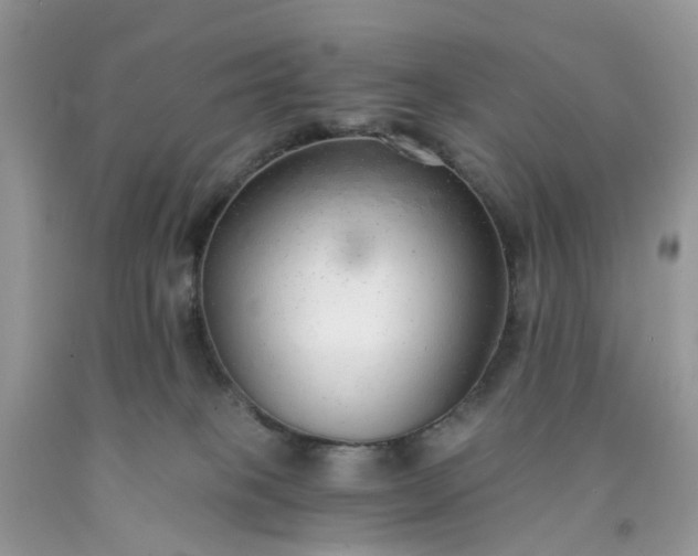 X0000091680085200709061113