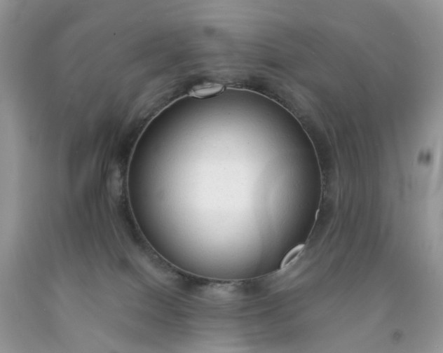 X0000091680086200709061113