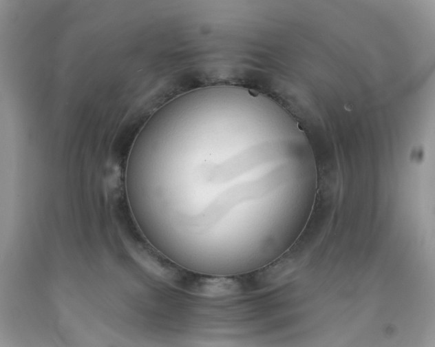X0000091680087200709061113