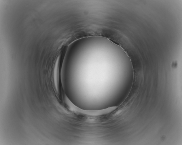 X0000091680088200709061113