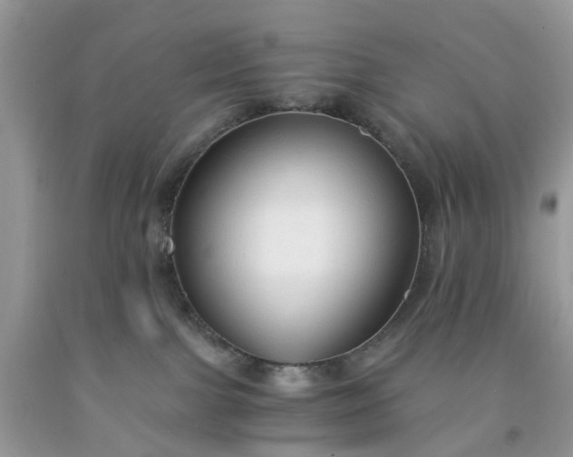 X0000091680091200709061113
