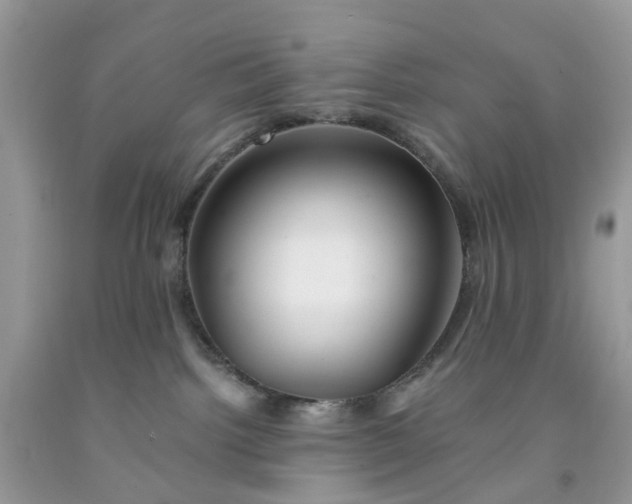 X0000091680092200709061113