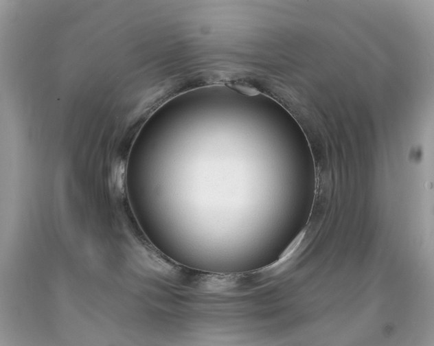X0000091680094200709061113