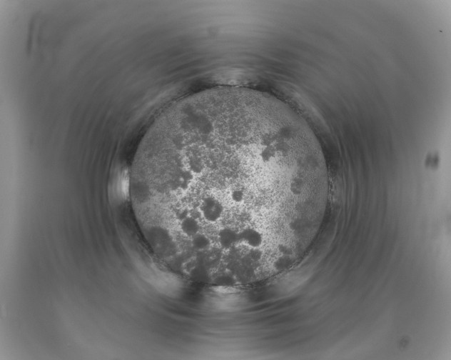 X0000091680095200709061113