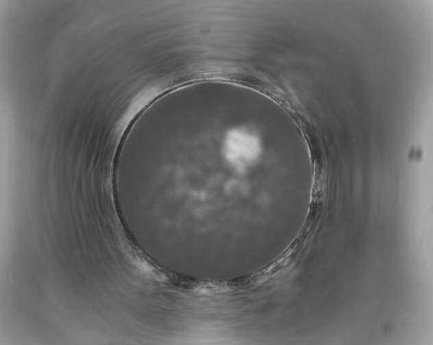 X0000091680099200709061112