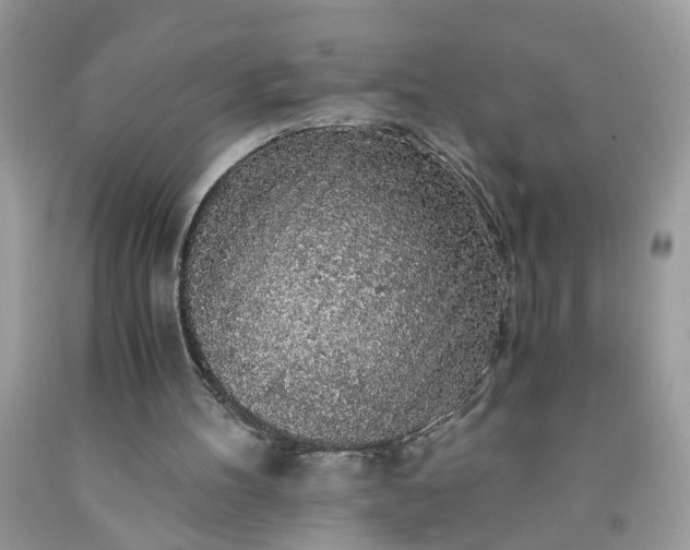 X0000091680100200709061112