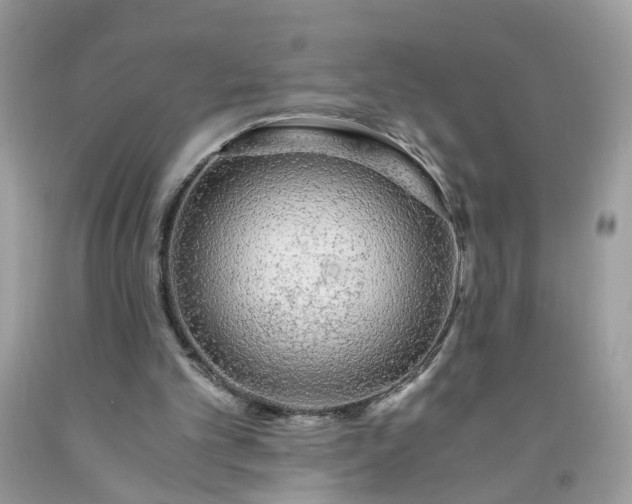 X0000091680101200709061112