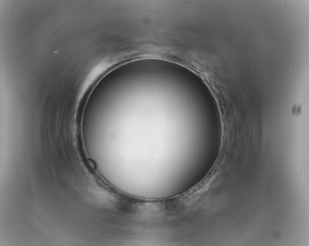 X0000091680102200709061112