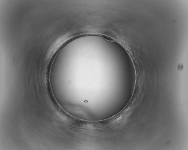 X0000091680103200709061112