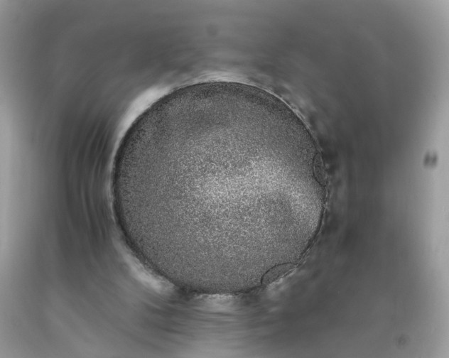 X0000091680104200709061112