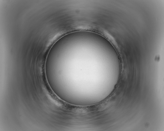 X0000091680106200709061112