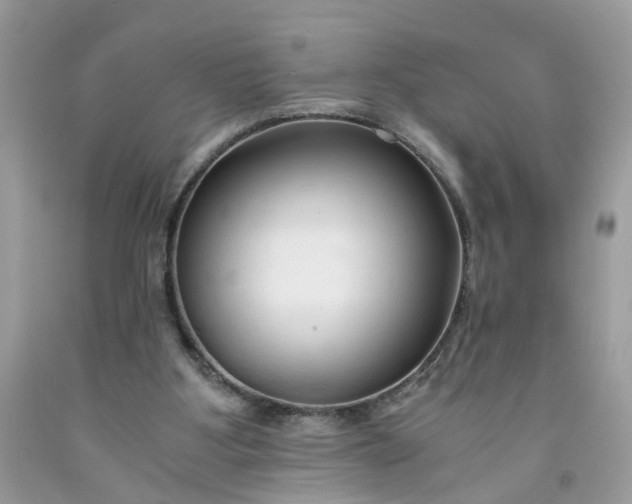 X0000091680107200709061112