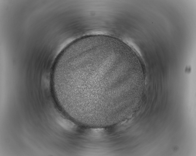 X0000091680108200709061112