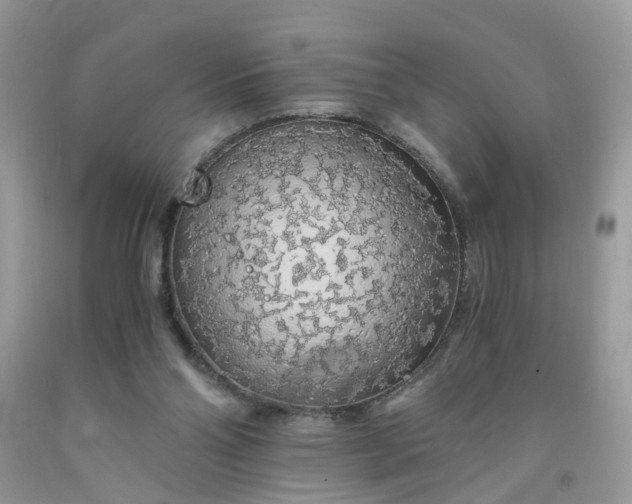 X0000091680110200709061112