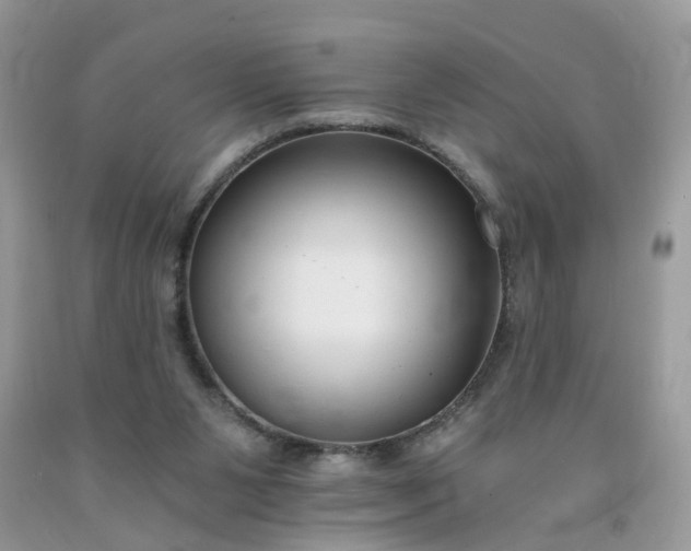X0000091680111200709061112
