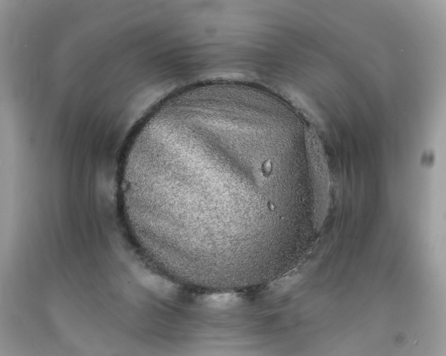 X0000091680112200709061112