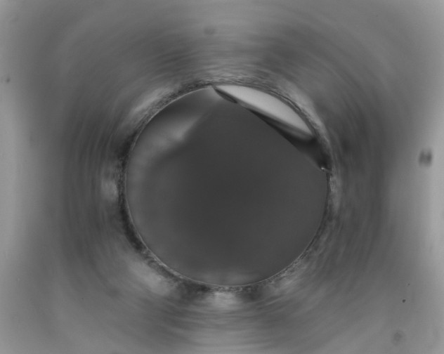 X0000091680114200709061112