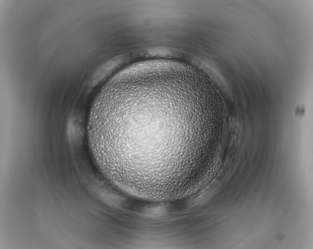 X0000091680116200709061112