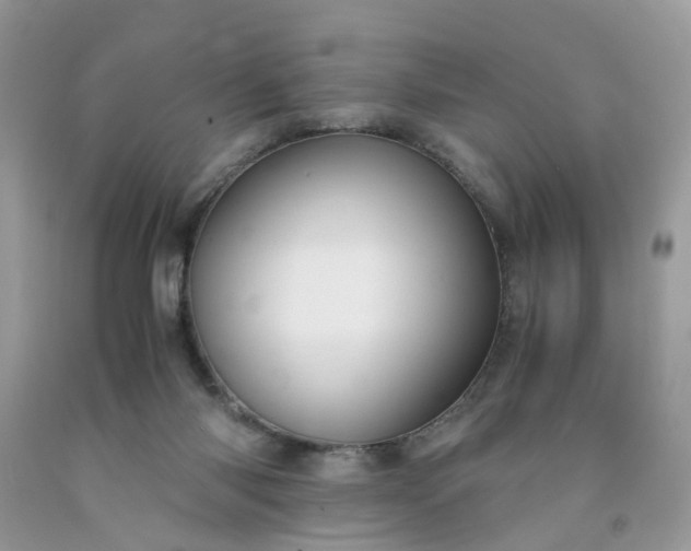 X0000091680118200709061112