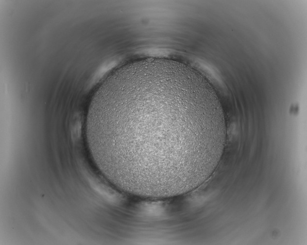 X0000091680120200709061112