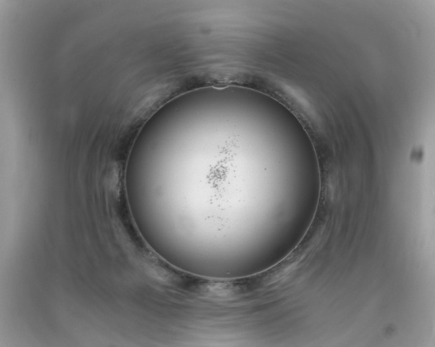 X0000091680121200709061112