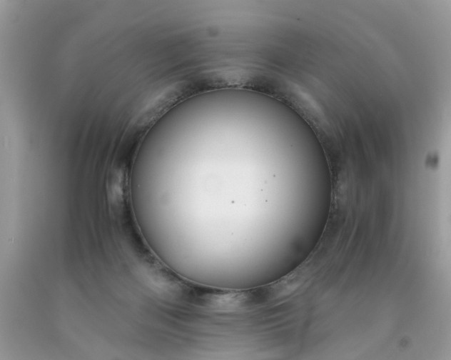 X0000091680122200709061112